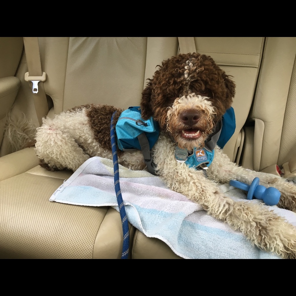 Meet your Posher, Syd